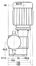Metering Pump UG - Technical Sheet